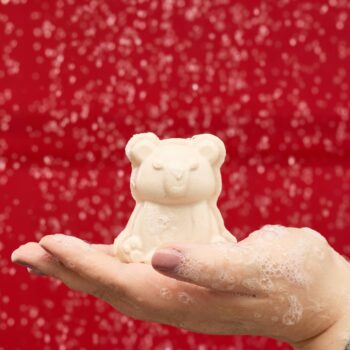 Snow Bear