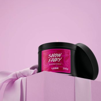 Snow Fairy